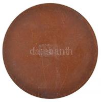 Osztrák-Magyar Monarchia 1906. "Friedrich von Beck, a Fegyveres Erők Főparancsnoka 1906. június...