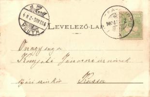 1903 Bártfa, Bártfafürdő, Bardejovské Kúpele, Bardejov; Schedel villa. Kiadja Divald Adolf 136. / vi...