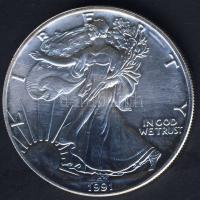 USA 1991. 1$ Ag "Sas" T:1