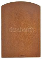 Sződy Szilárd (1878-1939) 1936. "Fővárosi Üdülőhely Balatonkenese" egyoldalas Br plakett, ...