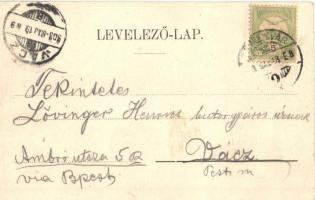 1903 Temesvár, Timisoara; Jenő herceg utca. Kiadja Káldor Zs. és Társa / street view