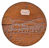 Béres János (1954- ) DN "Zalakaros községért" kétoldalas Br plakett, cizellálatlan peremme...