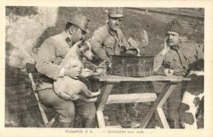 Mulassatok ti is! Osztrák-magyar katonák kutyával és gramofonnal / Unterhaltet auch euch / WWI Austro-Hungarian K.u.K. military soldiers with dog and gramophone