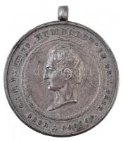 ~1900. A pesti Humboldt Szabadkőműves Páholy emlékérme a 10 éves tagság elismerésére, peremen jelzett Ag (17,46g/33mm) T:2 / Hungary ~1900. Commemorative medallion of the Humboldt Freemason Lodge of Pest in commemorating 10 years of membership, Ag hallmarked on edge (17,46g/33mm) C:XF