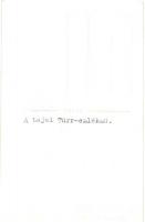 Baja, Türr István emlékmű és kilátó. Bérci fényképész photo