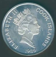 Cook szigetek 1989. 50$ Ag "Cook kapitány" T:PP