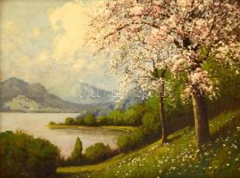 Fülöp jelzéssel: tavaszi folyópart. Olaj, vászon, keretben, 60×80 cm