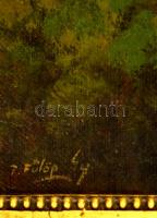 Fülöp jelzéssel: tavaszi folyópart. Olaj, vászon, keretben, 60×80 cm