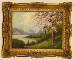 Fülöp jelzéssel: tavaszi folyópart. Olaj, vászon, keretben, 60×80 cm