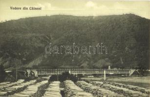 Caineni, Fűrésztelepi vasúti híd. Norbert Gust. Schoger Photograph / sawmill with railway bridge