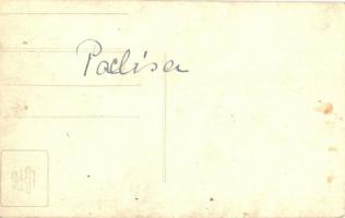 Poklisa, Paclisa; Pogány kastély / Schloss / castle. photo