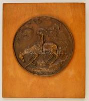 Olcsai Kiss Zoltán (1895-1981): Don Quijote. Bronz plakett falemezre rögzítve, d:15,5 cm, 26×21 cm
