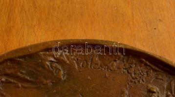 Olcsai Kiss Zoltán (1895-1981): Don Quijote. Bronz plakett falemezre rögzítve, d:15,5 cm, 26×21 cm