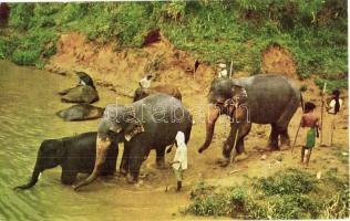 75 db főleg modern külföldi városképes lap (Észak- és Dél-Amerika, Ázsia, Óceánia); vegyes minőség /...