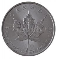 Kanada 2006. 5$ Ag II. Erzsébet T:1  Canada 2006. 5 Dollars Ag Elisabeth II C:UNC