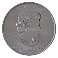 Kanada 2006. 5$ Ag "II. Erzsébet" T:1 
Canada 2006. 5 Dollars Ag "Elisabeth II"...