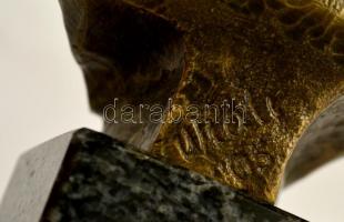 Olvashatatlan jelzéssel: Gen. Józef Bem. Bronz büszt, márvány talapzaton, m:10 cm