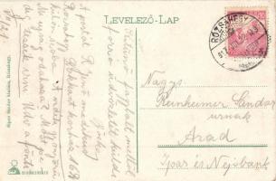 1917 Rózsahegy, Ruzomberok (Liptó); látkép a vasútállomással / Bahnhof / railway station