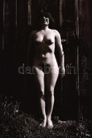 A tanya új lakója, cca 1976-ben készült, szolidan erotikus felvételek, 36 db vintage negatív, 24x36 ...