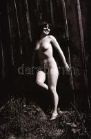 A tanya új lakója, cca 1976-ben készült, szolidan erotikus felvételek, 36 db vintage negatív, 24x36 ...