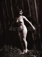 A tanya új lakója, cca 1976-ben készült, szolidan erotikus felvételek, 36 db vintage negatív, 24x36 ...