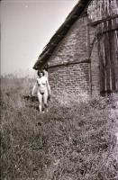 A tanya új lakója, cca 1976-ben készült, szolidan erotikus felvételek, 36 db vintage negatív, 24x36 ...