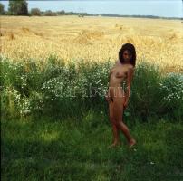 Tehetségkutatás, cca 1973 és 1980 között készült, szolidan erotikus felvételek vegyes válogatása, 6 ...