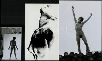 Hétvégi fotótúrák hozadéka, cca 1972 és 1978 között készült, szolidan erotikus felvételek vegyes vál...