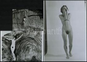 Fiatalság - huncutság, cca 1970 és 1991 között készült, szolidan erotikus felvételek vegyes válogatá...