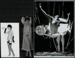 Házibulis felvételek, cca 1969 és 1978 között készült, szolidan erotikus felvételek vegyes válogatás...