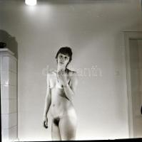 Házibulis felvételek, cca 1969 és 1978 között készült, szolidan erotikus felvételek vegyes válogatás...