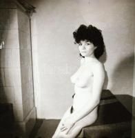 Házibulis felvételek, cca 1969 és 1978 között készült, szolidan erotikus felvételek vegyes válogatás...