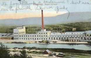 1917 Rózsahegy, Ruzomberok; Magyar papírgyár / Hungarian paper factory