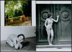 cca 1972 és 1987 között készült, szolidan erotikus felvételek vegyes válogatása, 5 db vintage negatí...