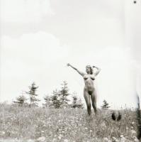 cca 1972 és 1987 között készült, szolidan erotikus felvételek vegyes válogatása, 5 db vintage negatí...