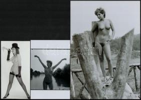 Szép leányok örvendeznek, cca 1973 és 1986 között készült, szolidan erotikus felvételek vegyes válog...