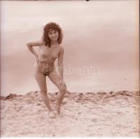 Szép leányok örvendeznek, cca 1973 és 1986 között készült, szolidan erotikus felvételek vegyes válog...