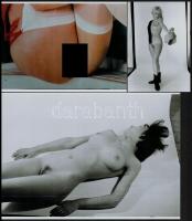 Volt is, lesz is, cca 1970 és 1988 között készült, szolidan erotikus felvételek vegyes válogatása, 7...