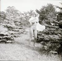 Volt is, lesz is, cca 1970 és 1988 között készült, szolidan erotikus felvételek vegyes válogatása, 7...