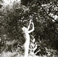 A csábítás esztétikája, cca 1970 és 1988 között készült, szolidan erotikus felvételek vegyes válogat...