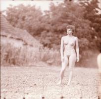 Jól esett, hát megesett, cca 1972 és 1989 között készült, szolidan erotikus felvételek vegyes váloga...