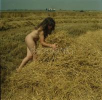 Ismerkedős felvételek, cca 1972 és 1986 között készült, szolidan erotikus felvételek vegyes válogatá...