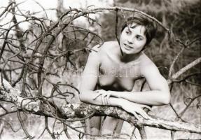 Titkos találkák, régi történetek, cca 1970 és 1975 között készült, szolidan erotikus felvételek vegy...