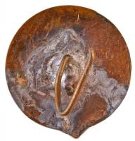 DN "Ferencvárosi Torna Club" zománcozott fém kitűző (15mm) T:2 tű letört