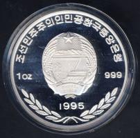 Észak-Korea 1995. 500W Ag "Labdarúgó VB" T:PP Csak 10.000db!