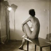 Leányságuk emlékére, cca 1960 és 1980 között készült, szolidan erotikus felvételek vegyes válogatása...