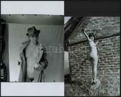 Leányságuk emlékére, cca 1960 és 1980 között készült, szolidan erotikus felvételek vegyes válogatása...