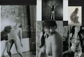 cca 1970 és 1988 között készült, szolidan erotikus felvételek vegyes válogatása, 7 db vintage negatí...