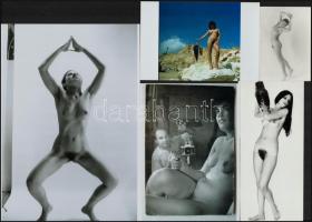 Csábos teremtések pucér kavalkádja, cca 1960 és 1980 között készült, szolidan erotikus felvételek ve...