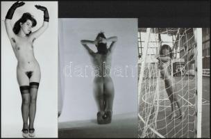 cca 1960 és 1980 között készült, szolidan erotikus felvételek vegyes válogatása, 4 db vintage negatí...